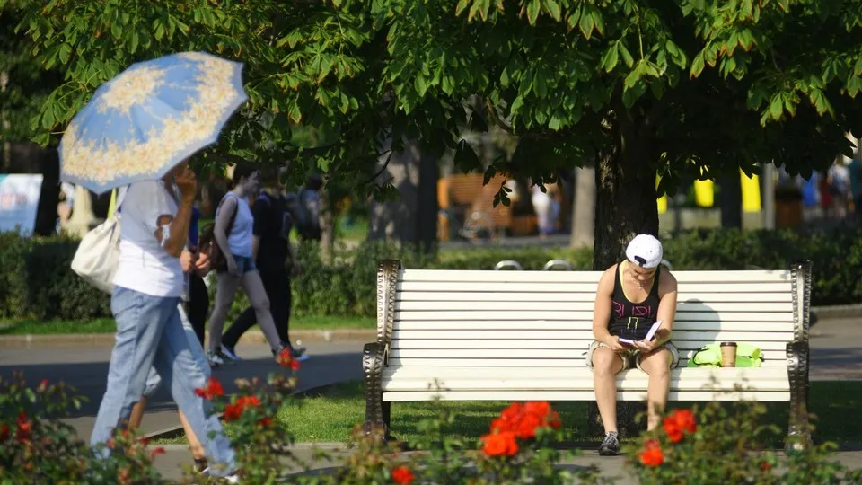 Фото: медиасток.рф