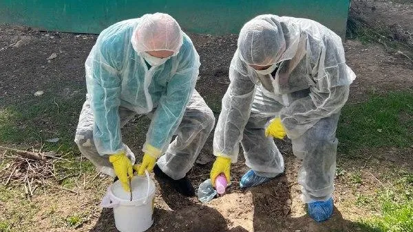 Пресс-служба администрации городского округа Лобня