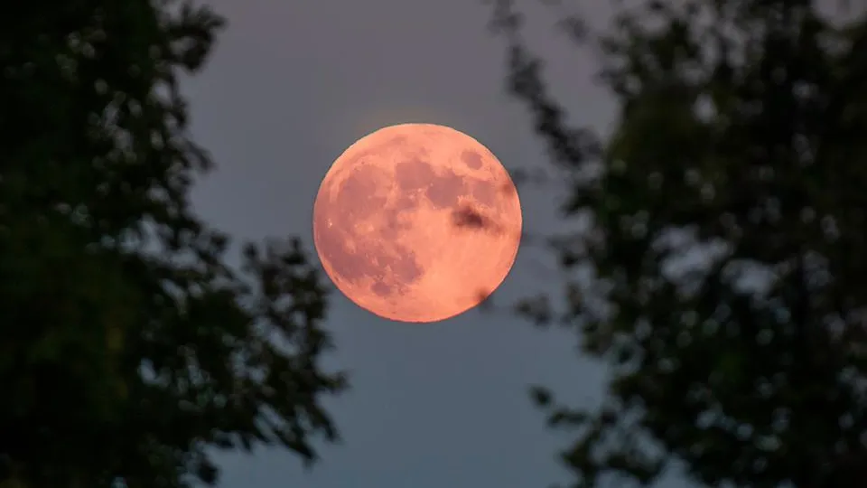 Фото: istockphoto.com