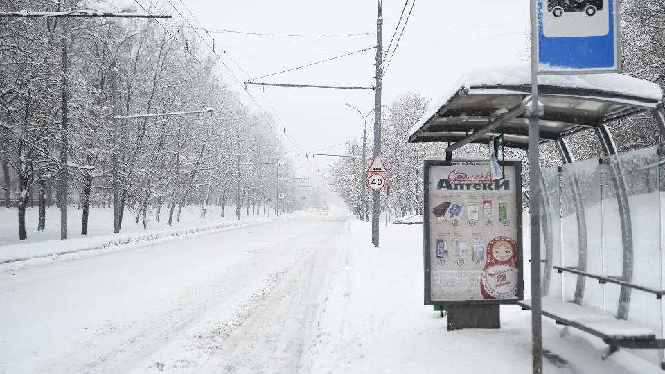 Фото: медиасток.рф