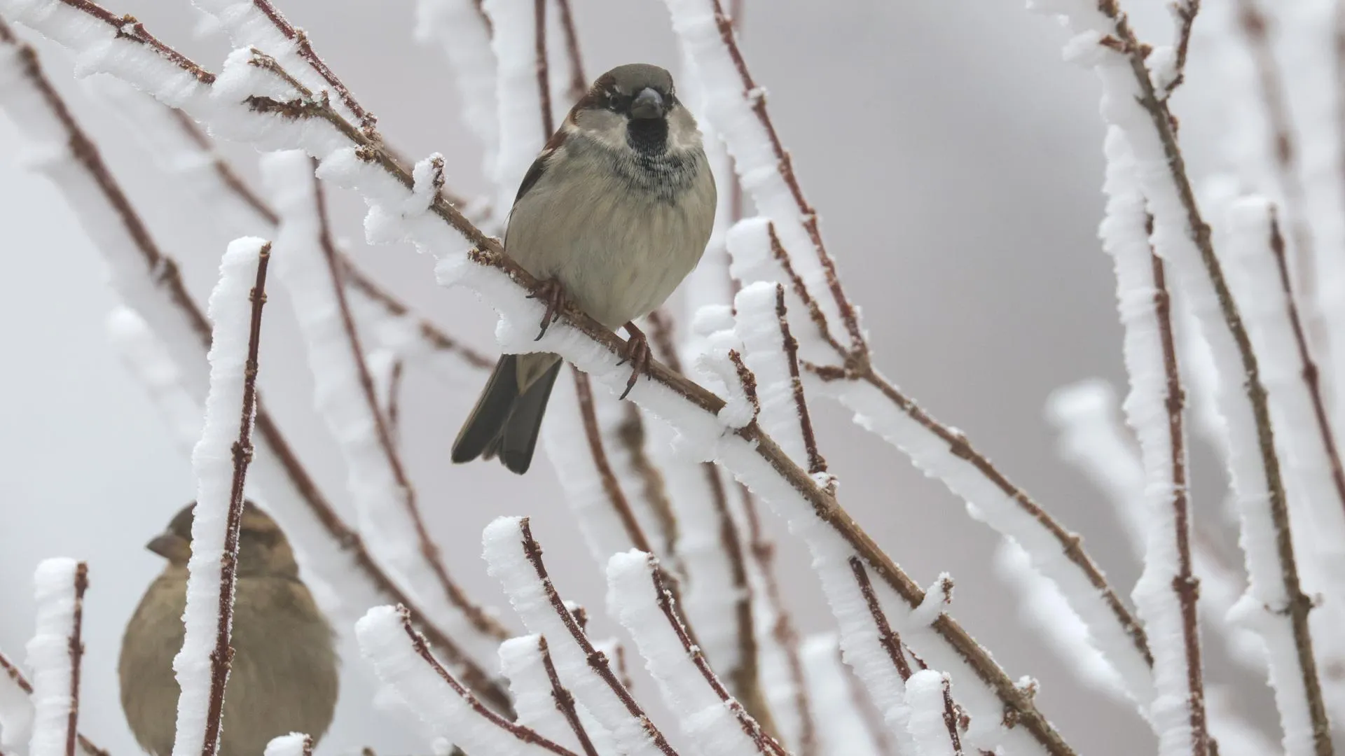 Thomas Warnack/dpa/ Global Look Press