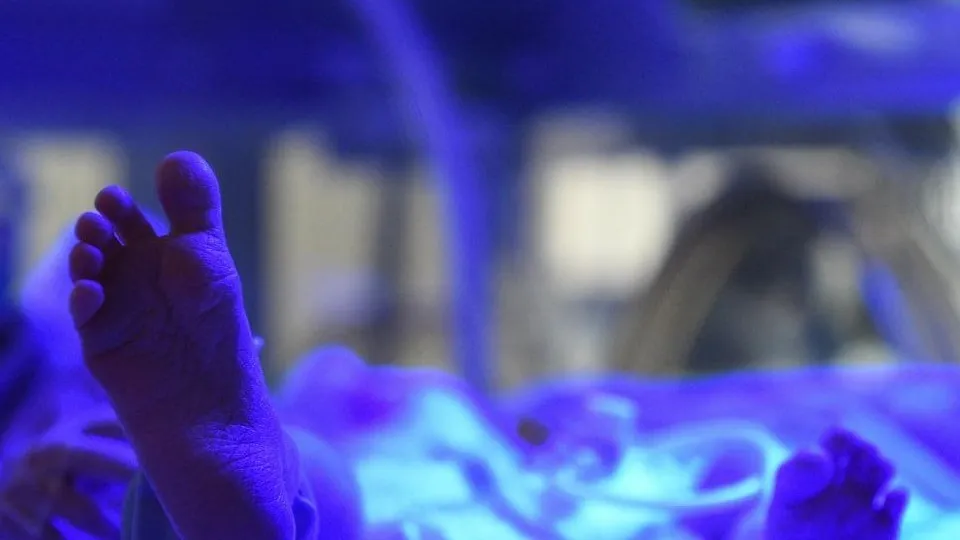 Фото: пресс-служба Министерства здравоохранения Московской области