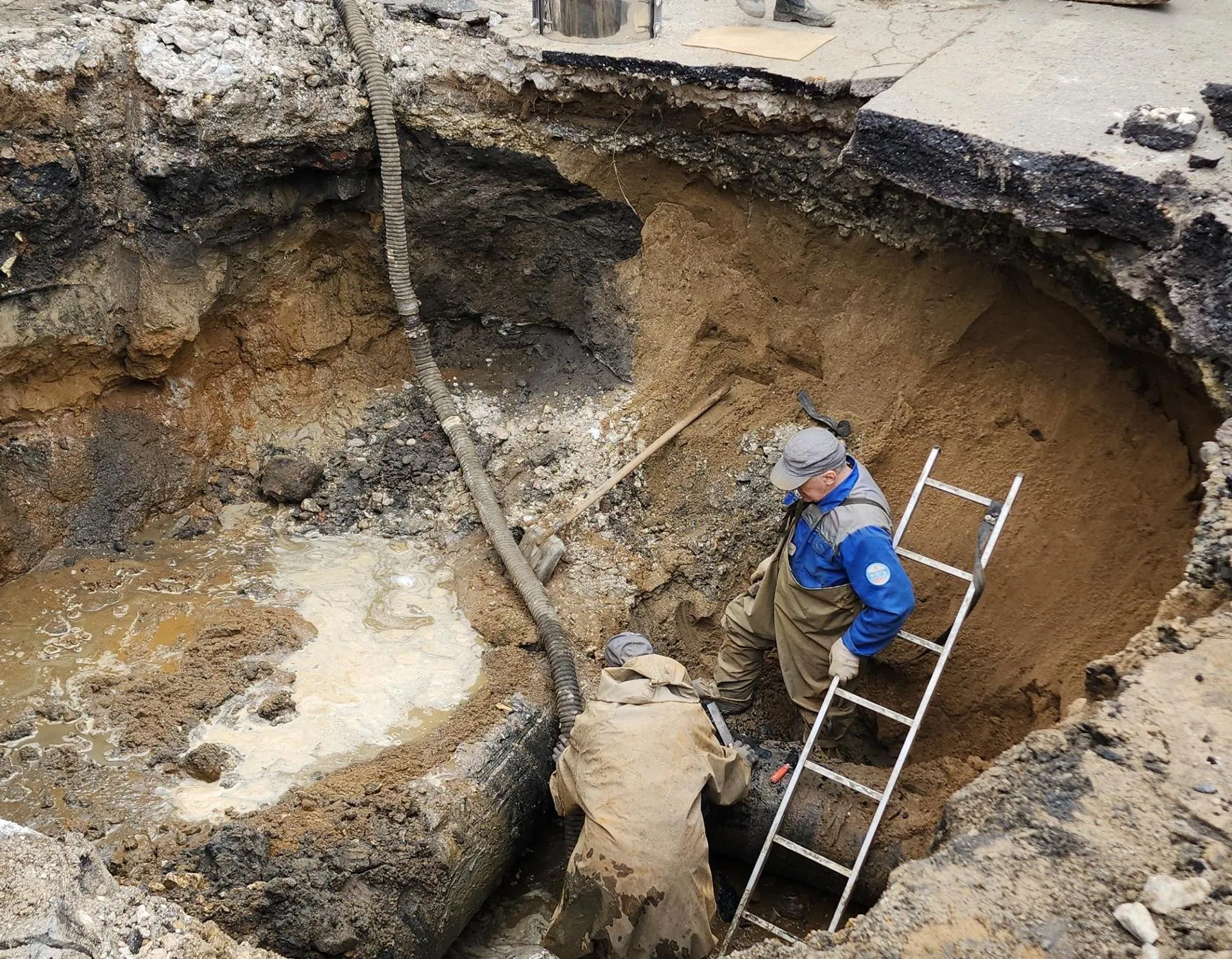 Фото: Нина Басистая