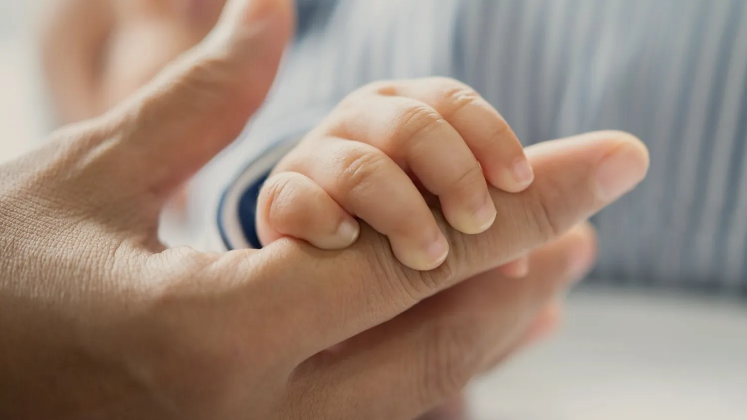 Фото: freepik.com