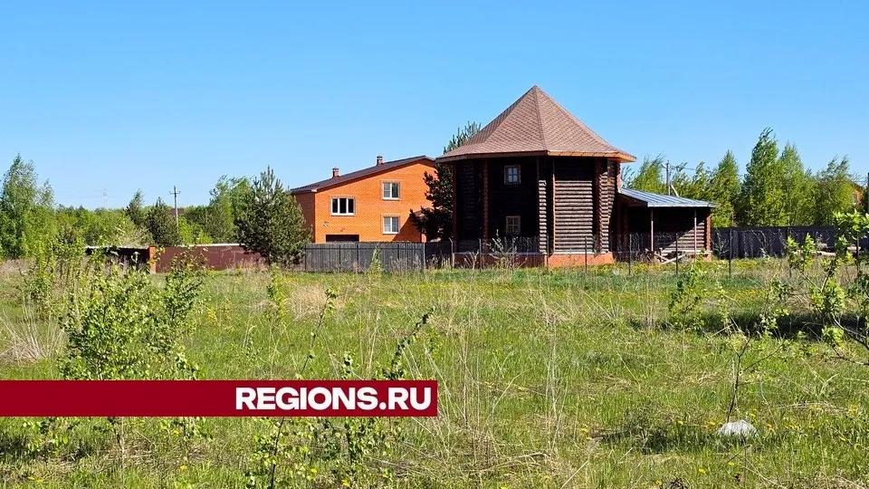 Фото: Александр Дрожжин
