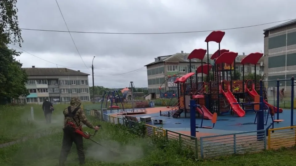 Фото: Администрация городского округа Лотошино