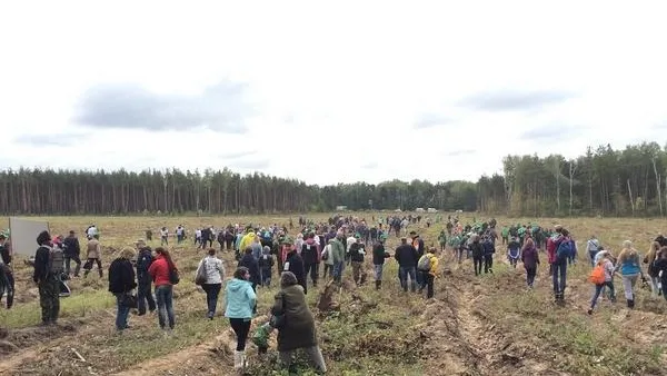 Более 41 тыс саженцев высадили в Люберецком районе