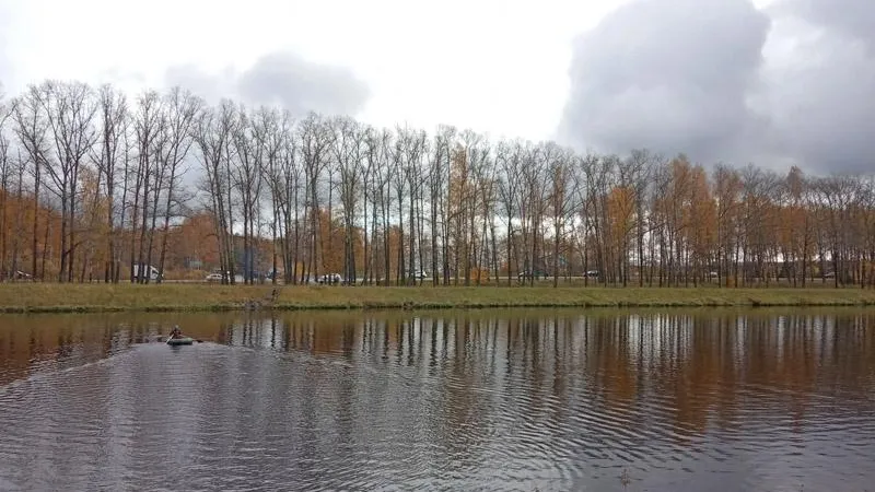 Филипп Терец / Подмосковье Сегодня