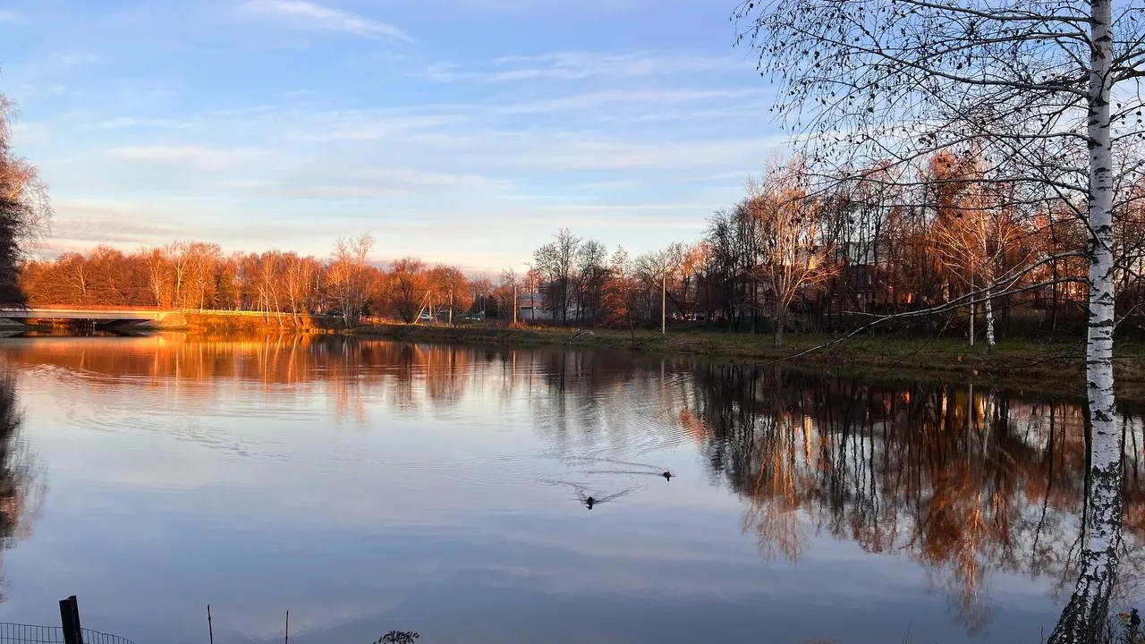 Фото: REGIONS/Елена Фурман