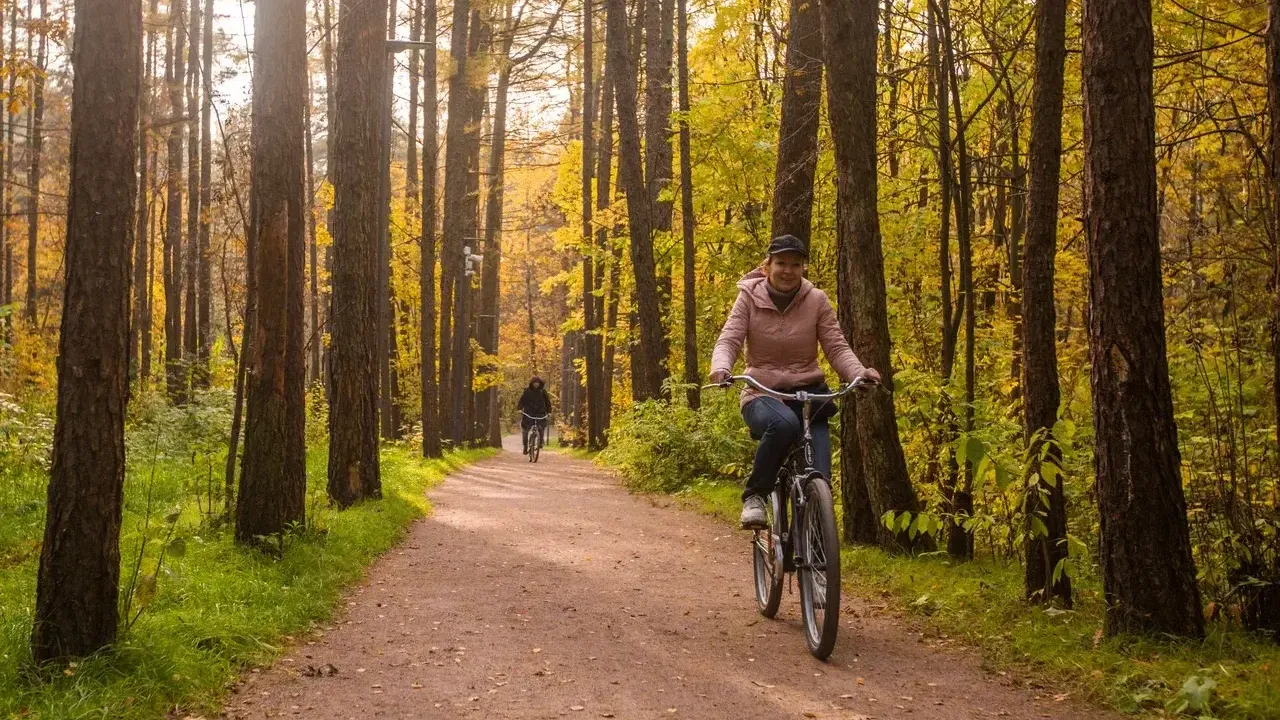 Министерство благоустройства Московской области