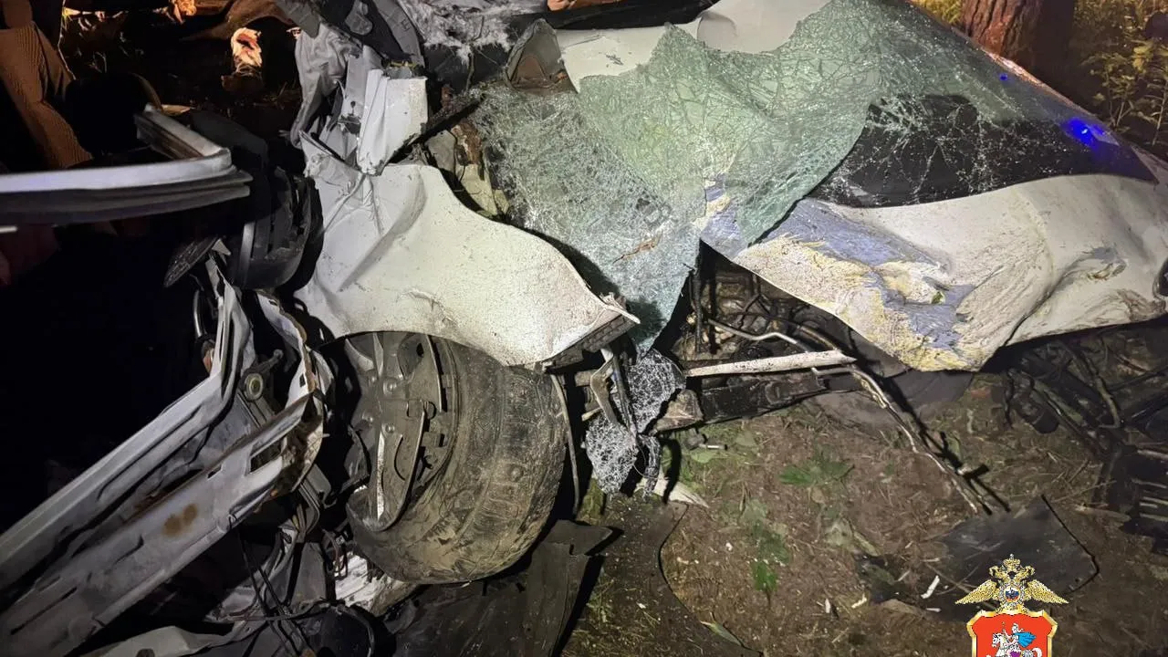 Фото: t.me/gumvd50