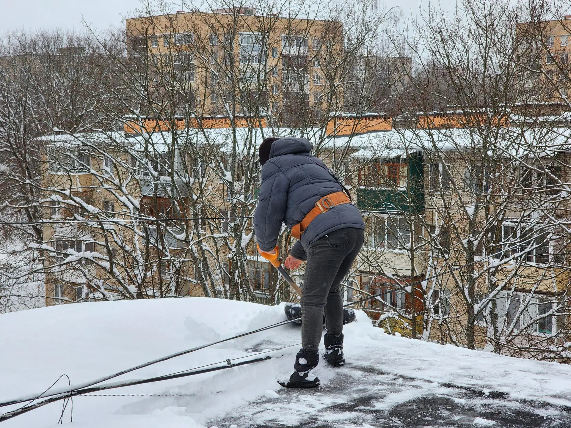 Фото: REGIONS/Иван Петрушин