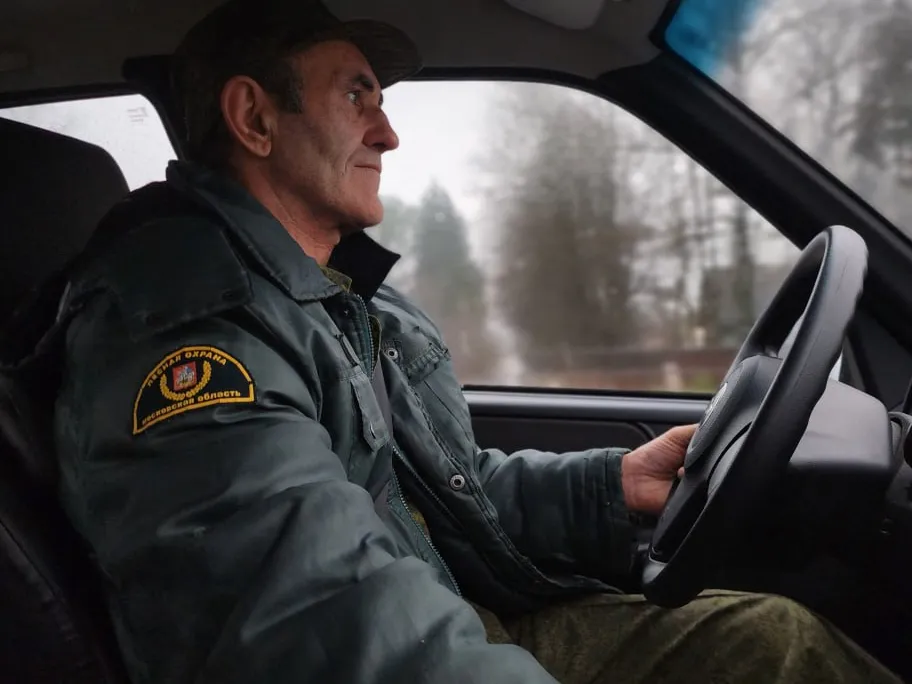 Фото: ГАУ МО «Мособллес»