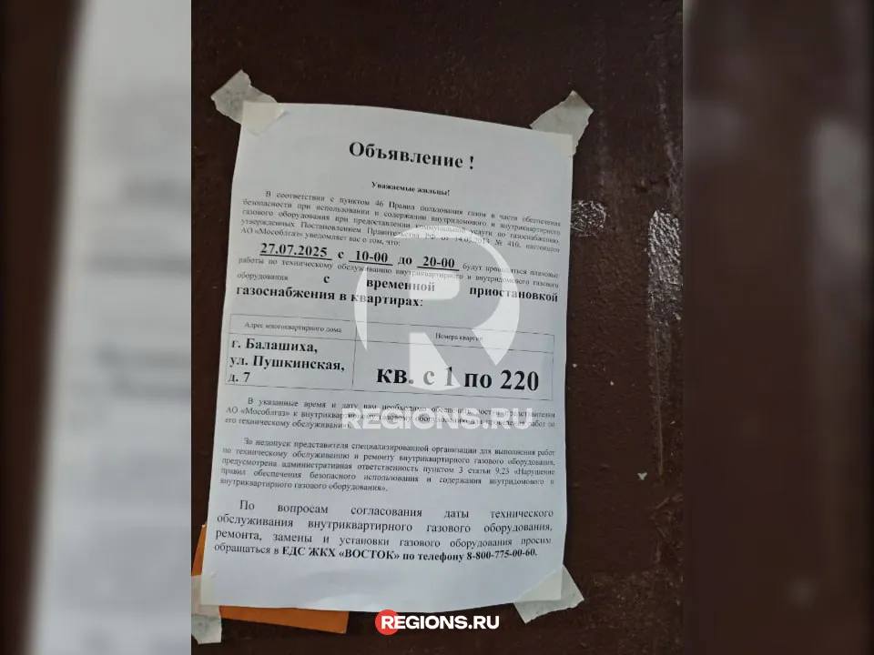 Фото: личный архив Максима Зубарева