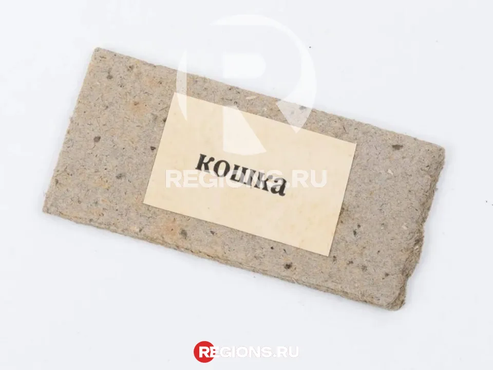 Карточка со словом «Кошка», по которой учился читать сам Ленин. Фото: музей-заповедник «Горки Ленинские»