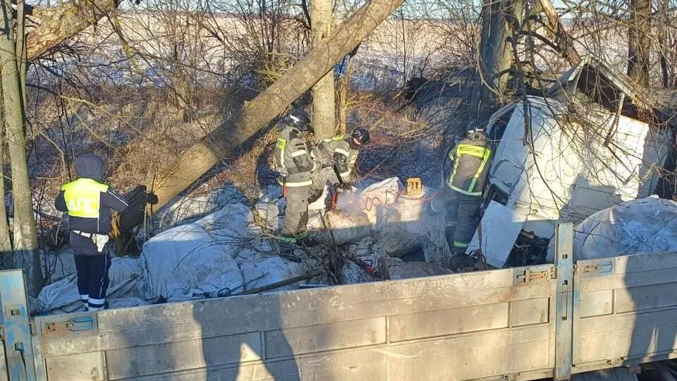 Фото: ГКУ МО «Мособлпожспас»