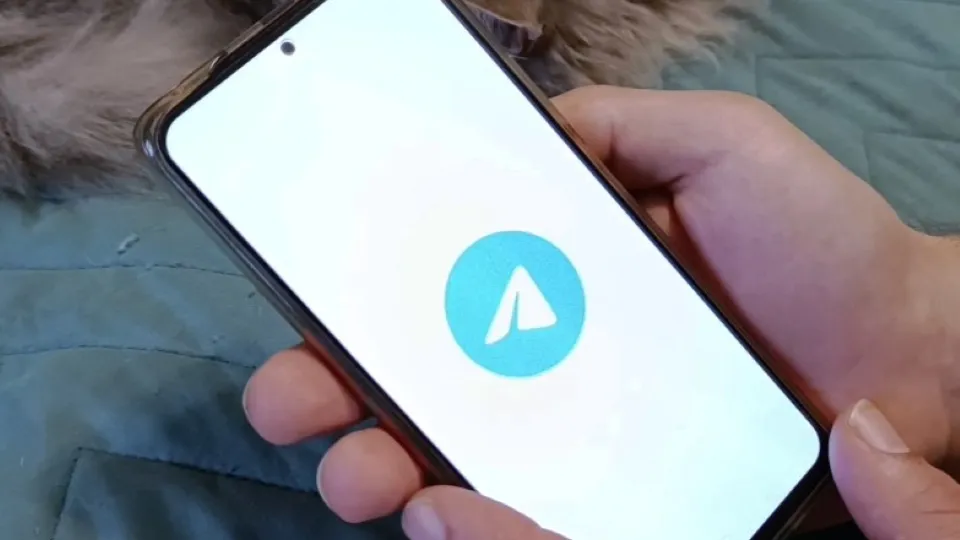 Фото: МедиаБанк Подмосковья/Екатерина Дятловская