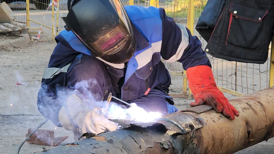 Фото: МедиаБанк Подмосковья/Валерия Тингаева
