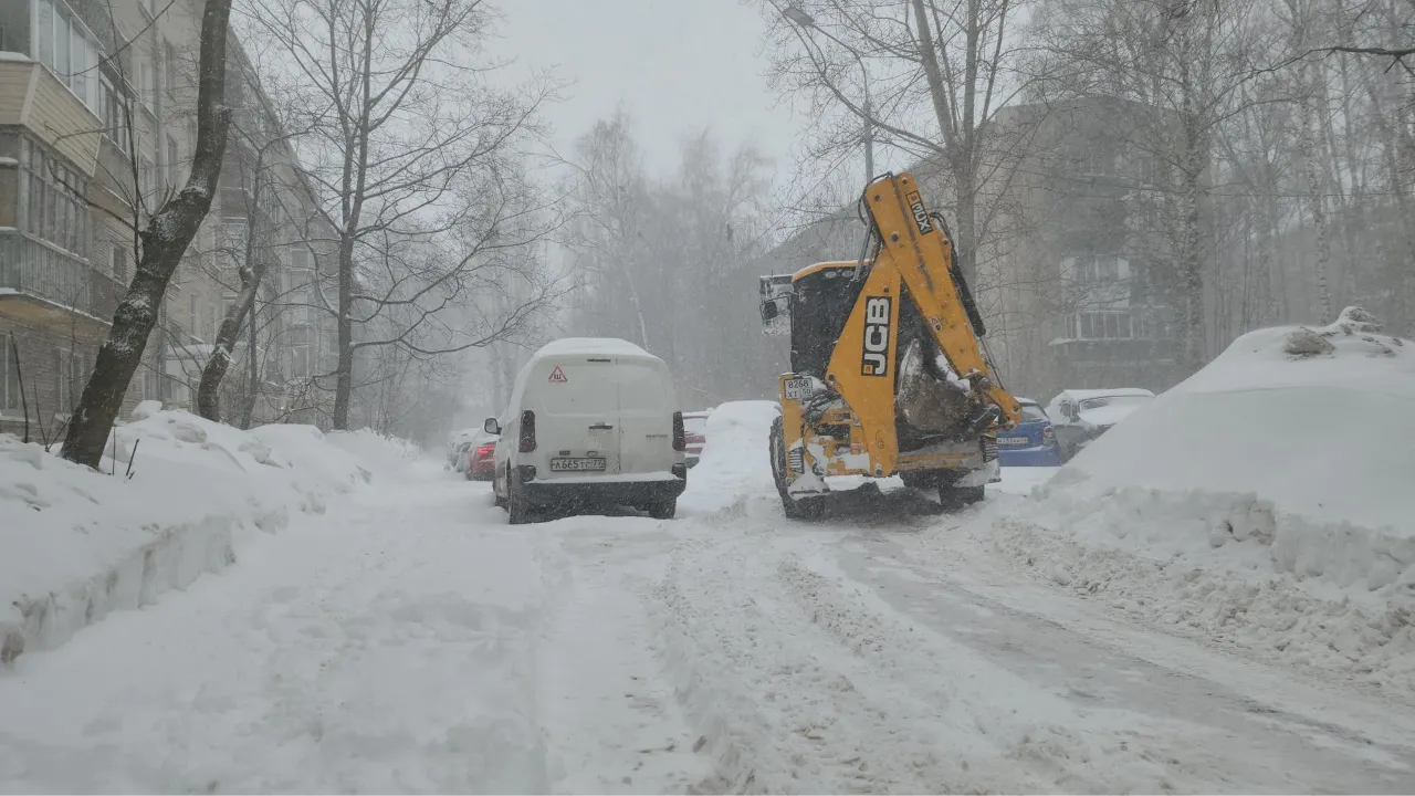 МедиаБанк Подмосковья/Наталья Лымарь