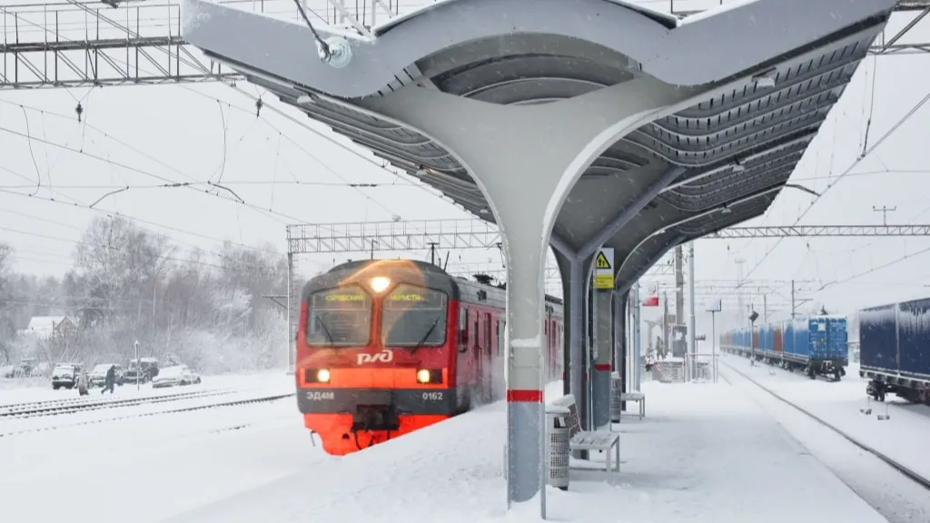 Фото: Оксана Лапшина