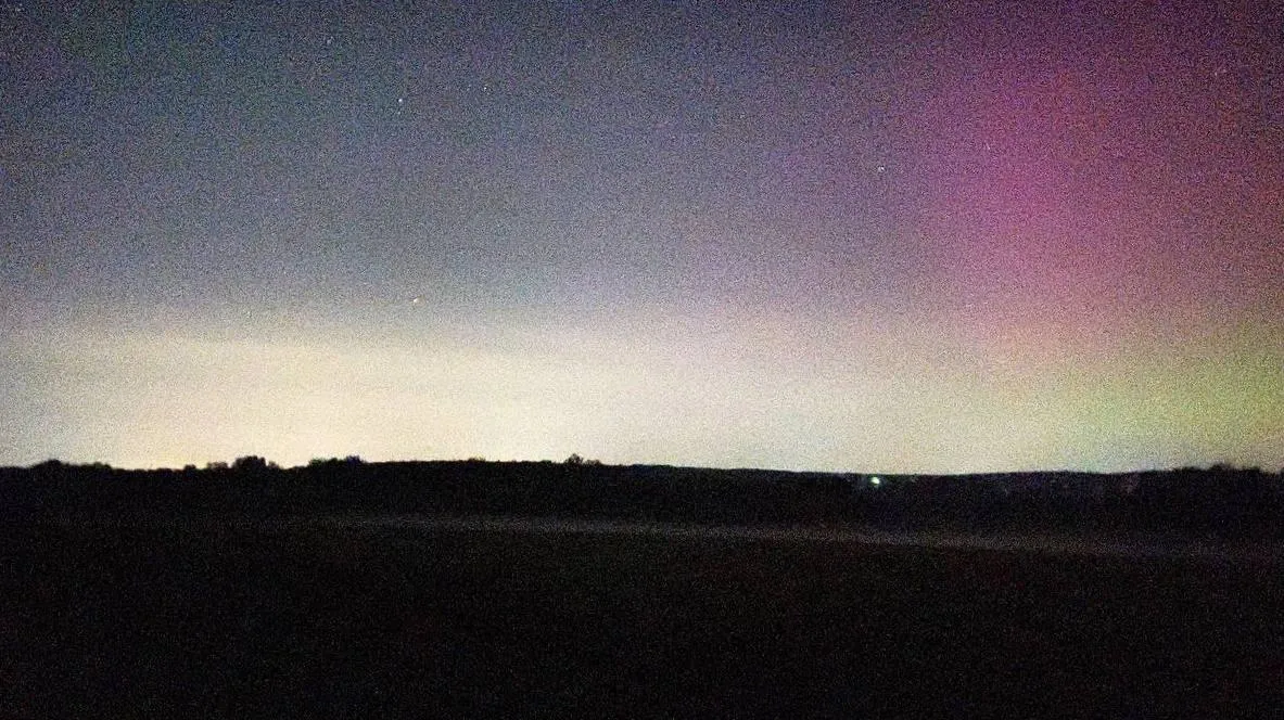 Фото: Дарья Леонова