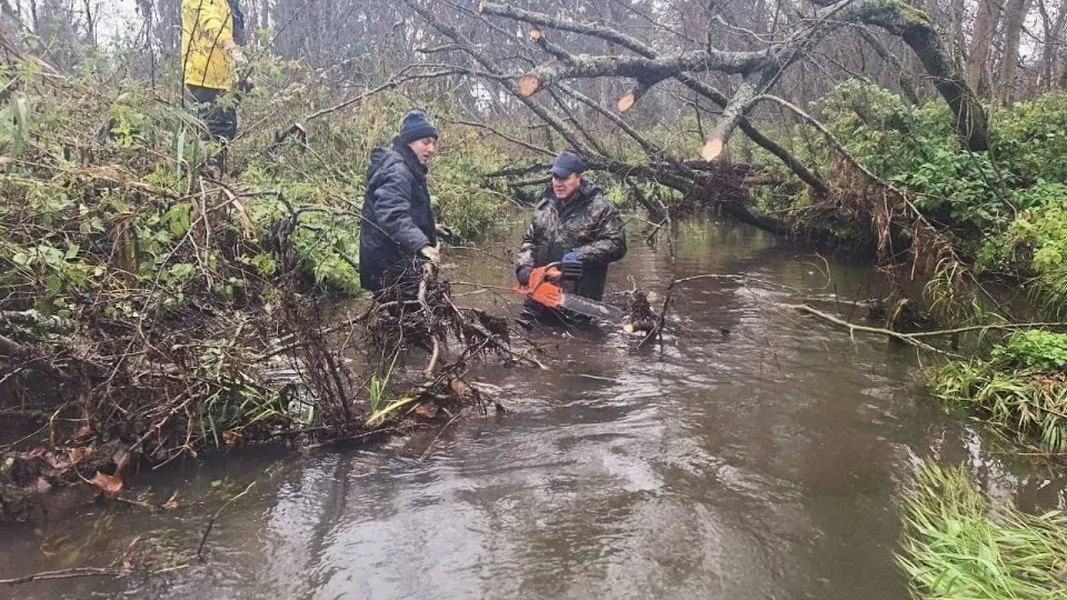 Фото: Администрация г.о. Солнечногорск