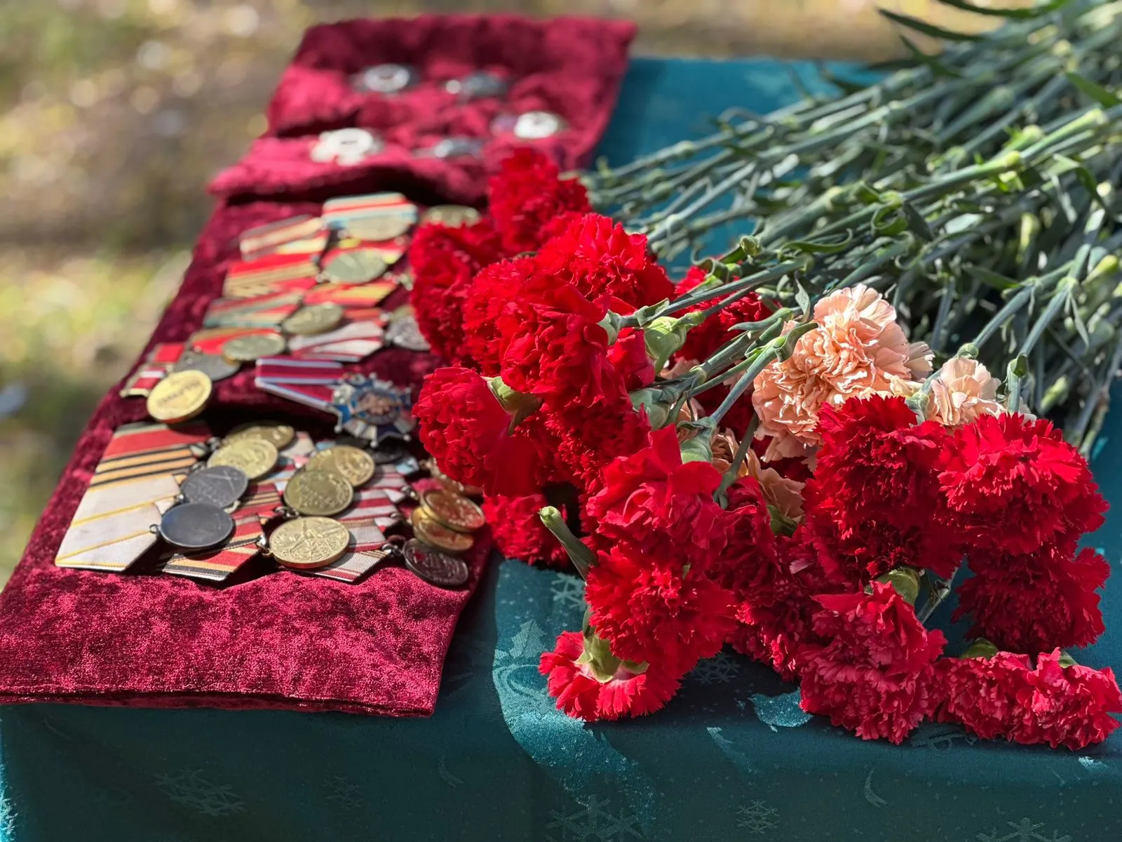 Награды Карпа Трескунова. Фото: пресс-служба отделения партии «Единая Россия»