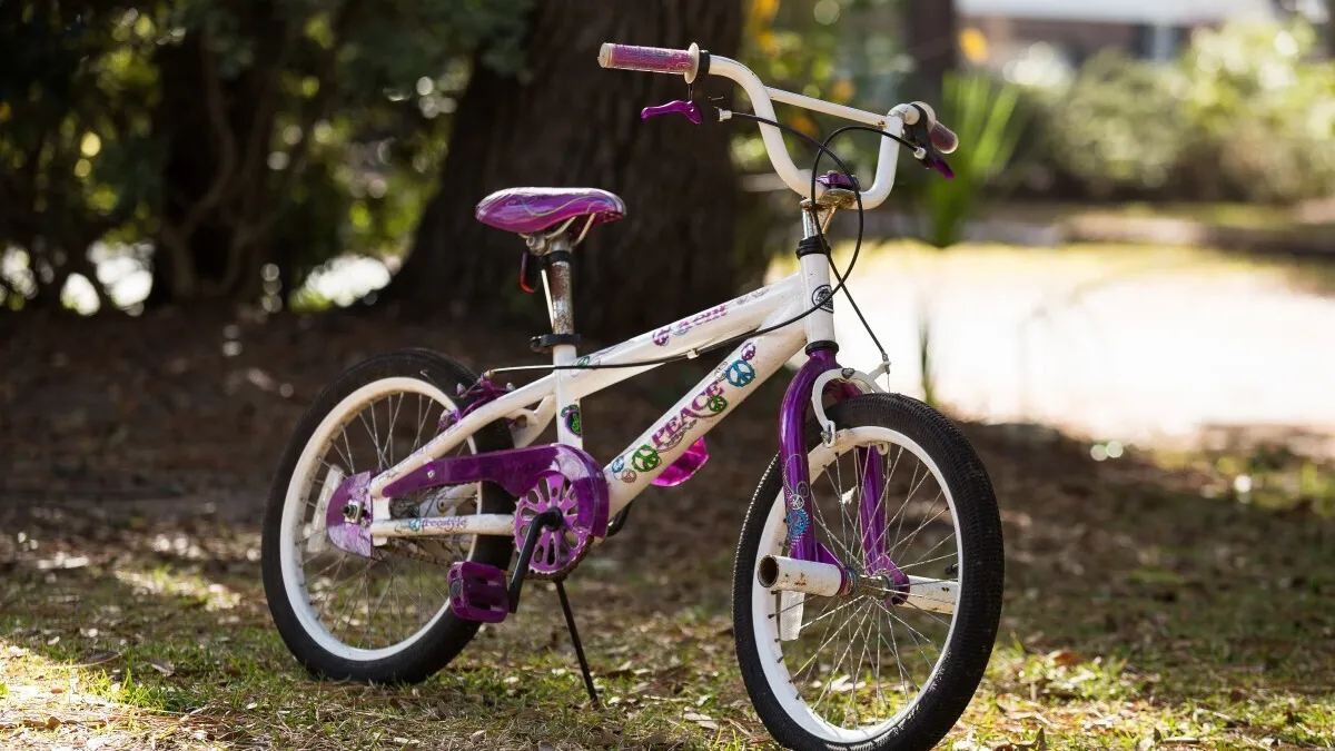 Фото: pxhere.com