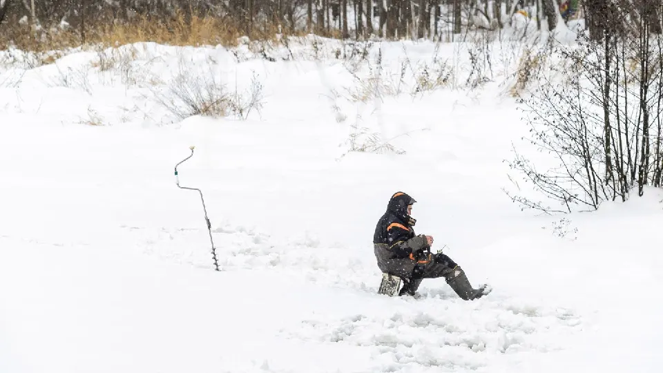 Фото: медиасток.рф