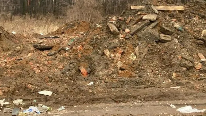 Фото: Министерство экологии и природопользования Московской области