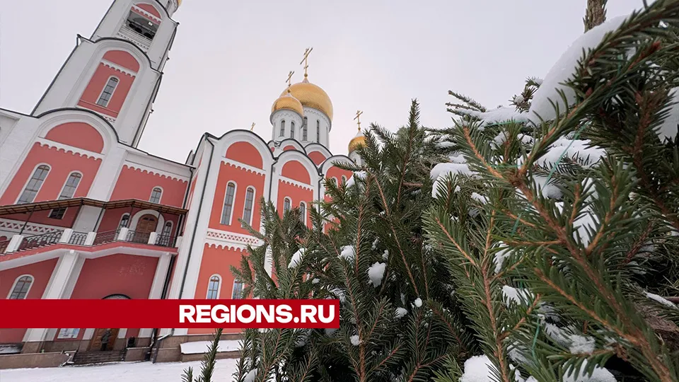 Фото: Мария Шматкова