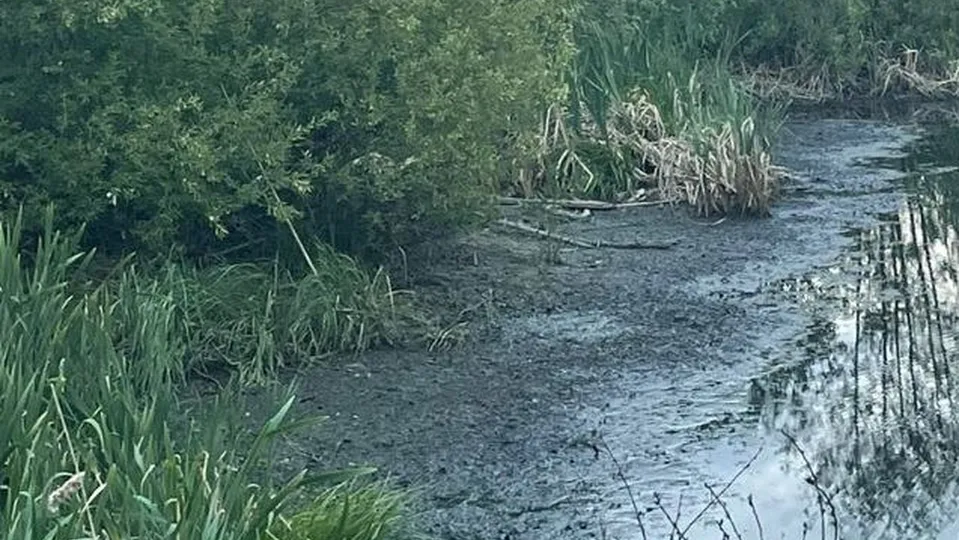 Фото: REGIONS\Наталия Надточая