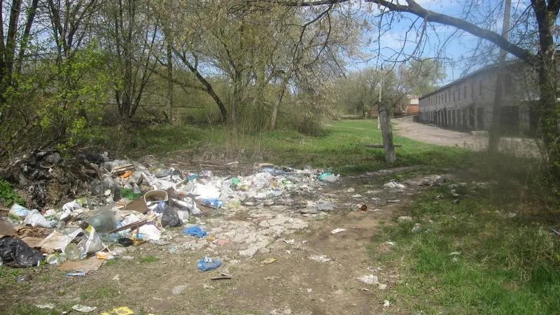 Свалку объемом 40 кубометров устранили в Коломне