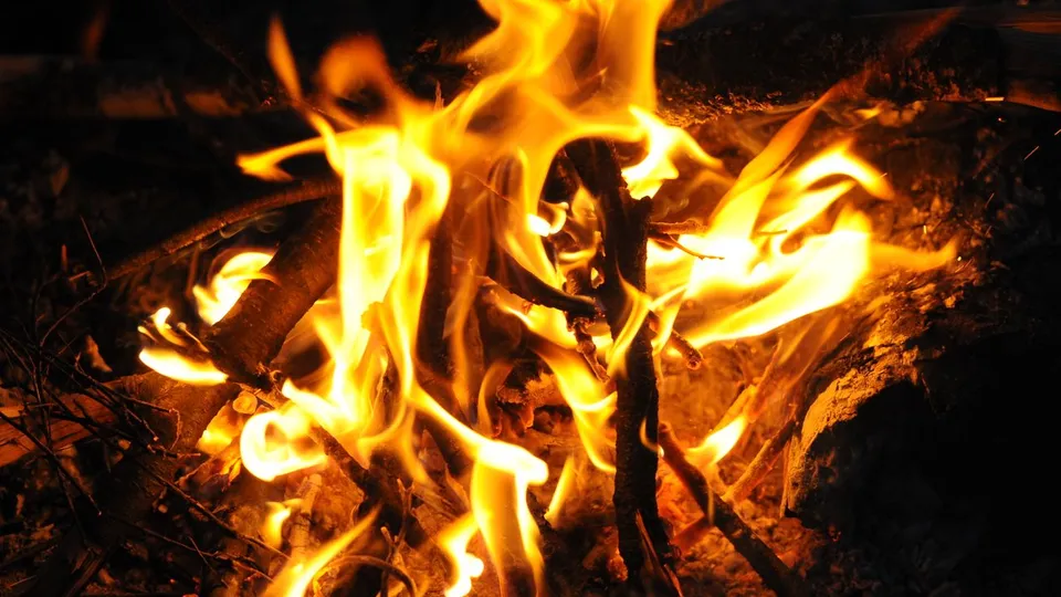 Фото: медиасток.рф