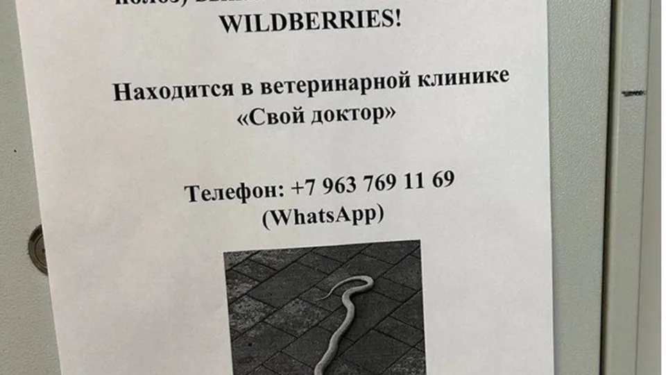 Фото: соцсети
