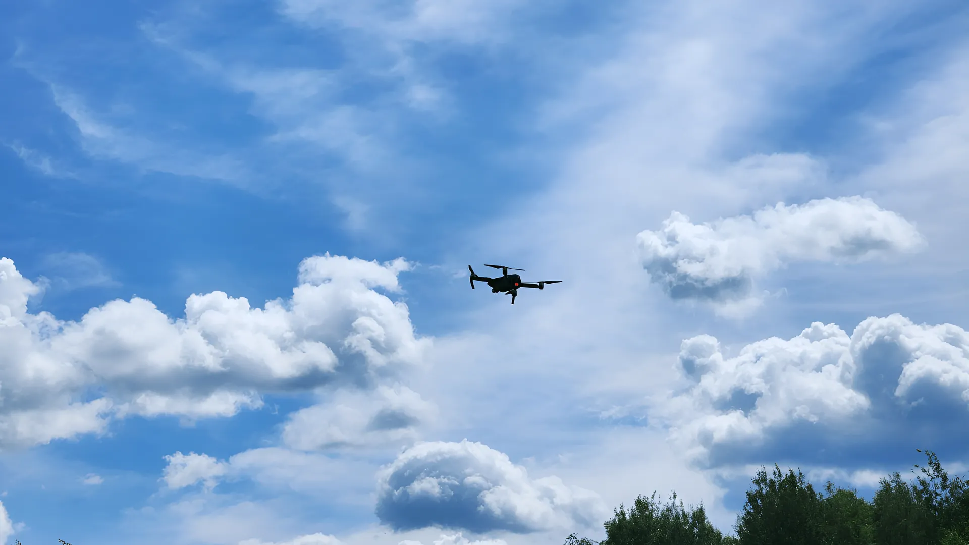 Фото: МедиаБанк Подмосковья/ Яна Шаливская