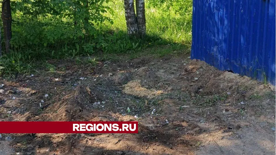 Фото: Пресс-служба Министерства по содержанию территорий и государственному и жилищному надзору Московской области