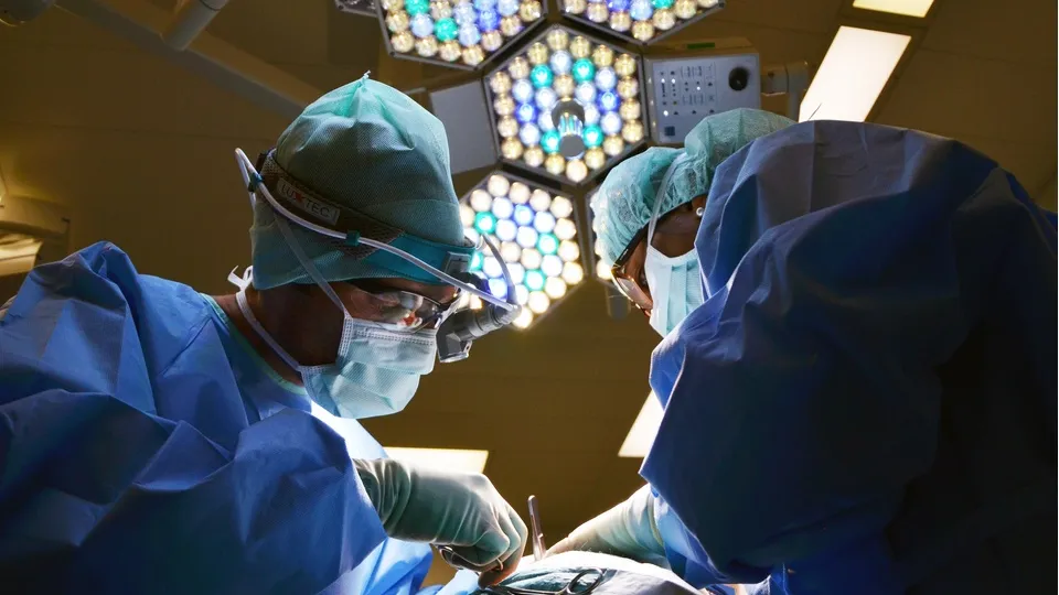 Фото: pxhere.com