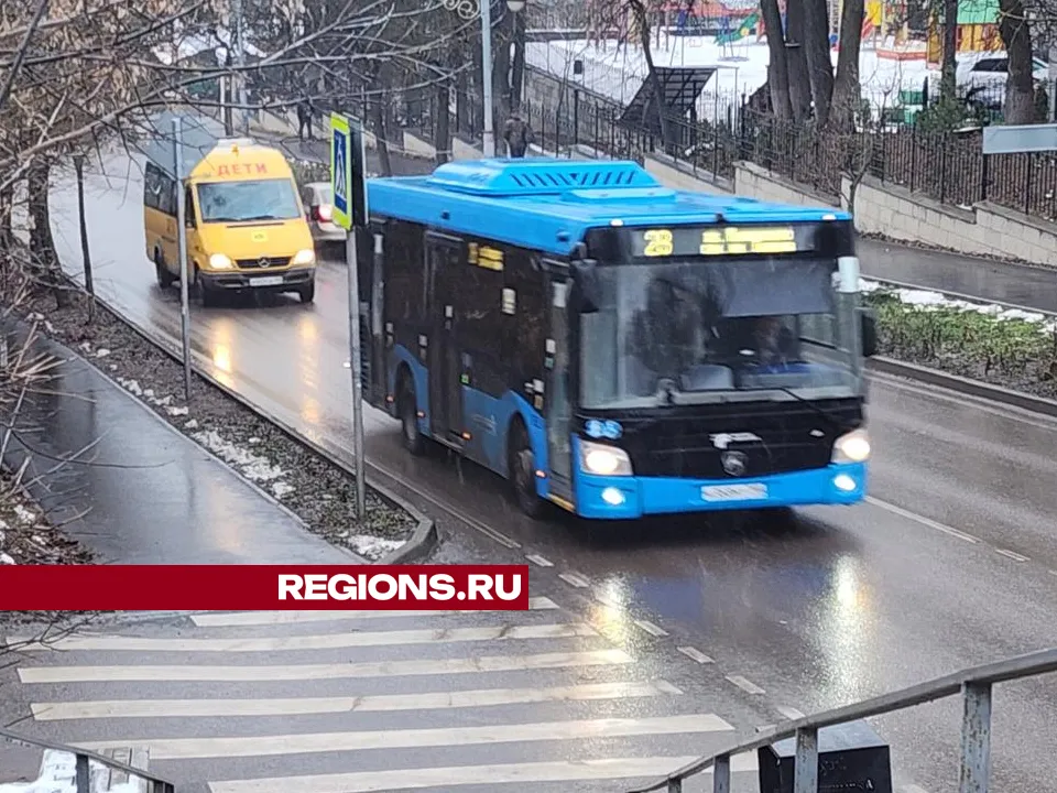 Фото: Хавива Фонина