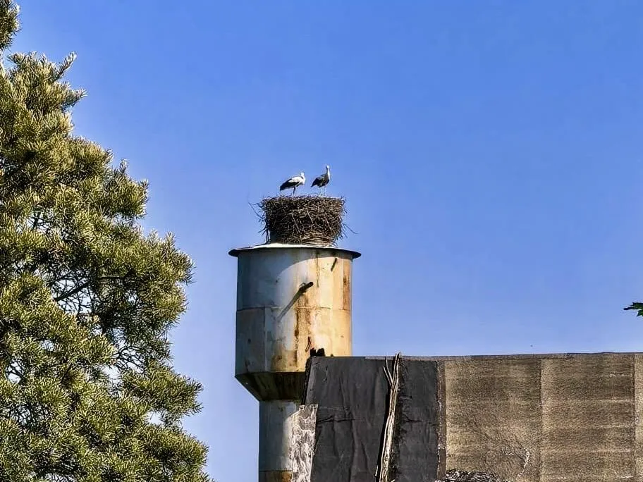 Фото: Анна Тюрюмина&nbsp; &nbsp; &nbsp; &nbsp;