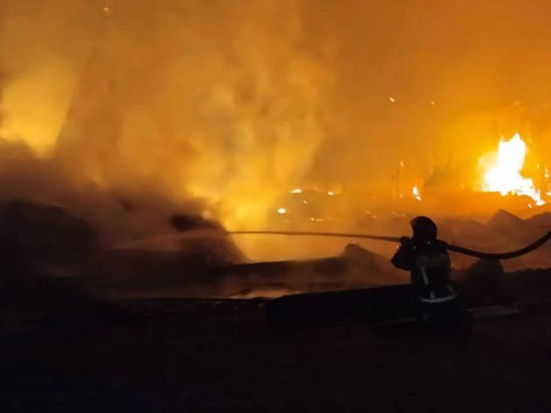 Фото: ГКУ МО «Мособлпожспас»