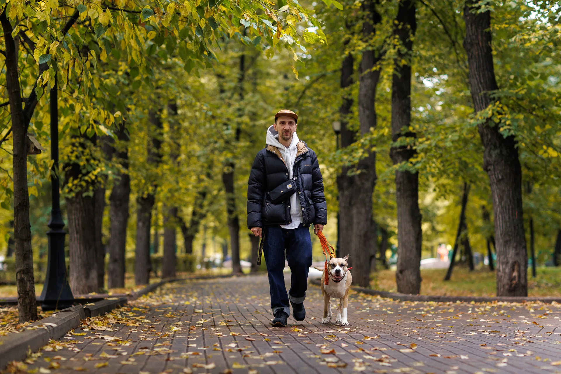 Осенняя прогулка с собакой в парке