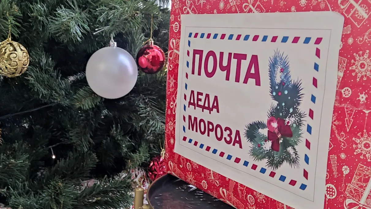 Фото: МедиаБанк Подмосковья/Егор Коновалов