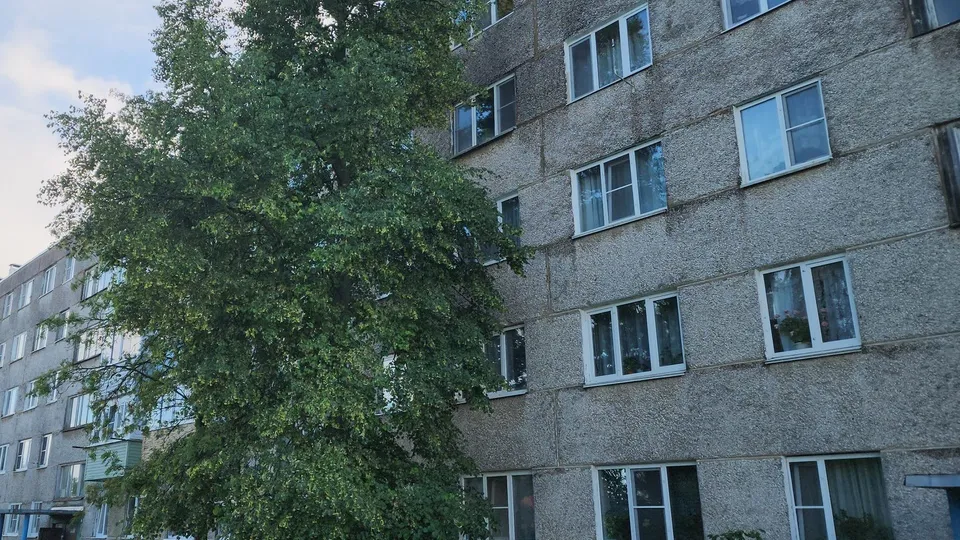 Фото: МедиаБанк Подмосковья/Андрей Семибратов