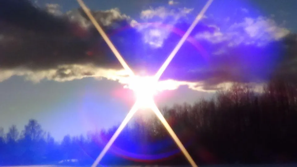 Фото: МедиаБанк Подмосковья/Михаил Мартыненко