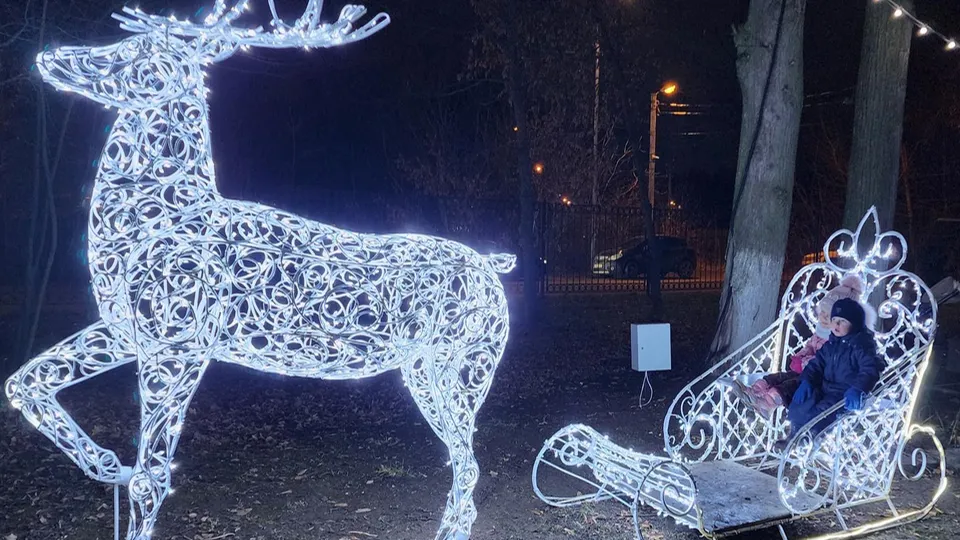 Фото: Анастасия Сараева