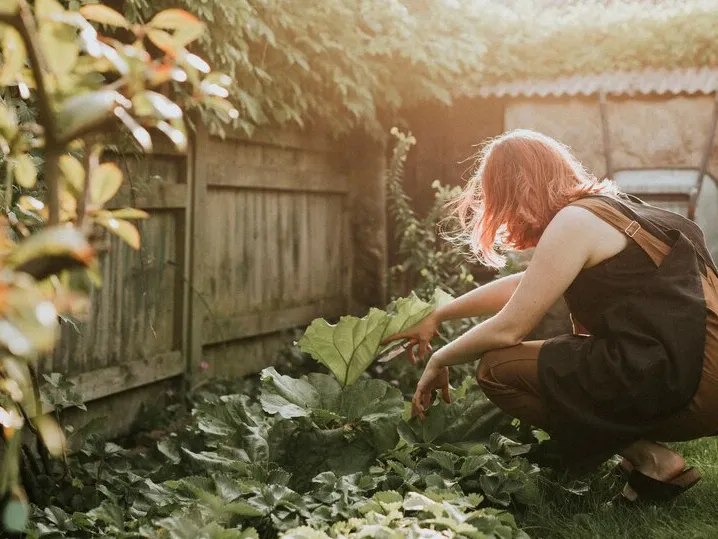 Фото: freepik.com