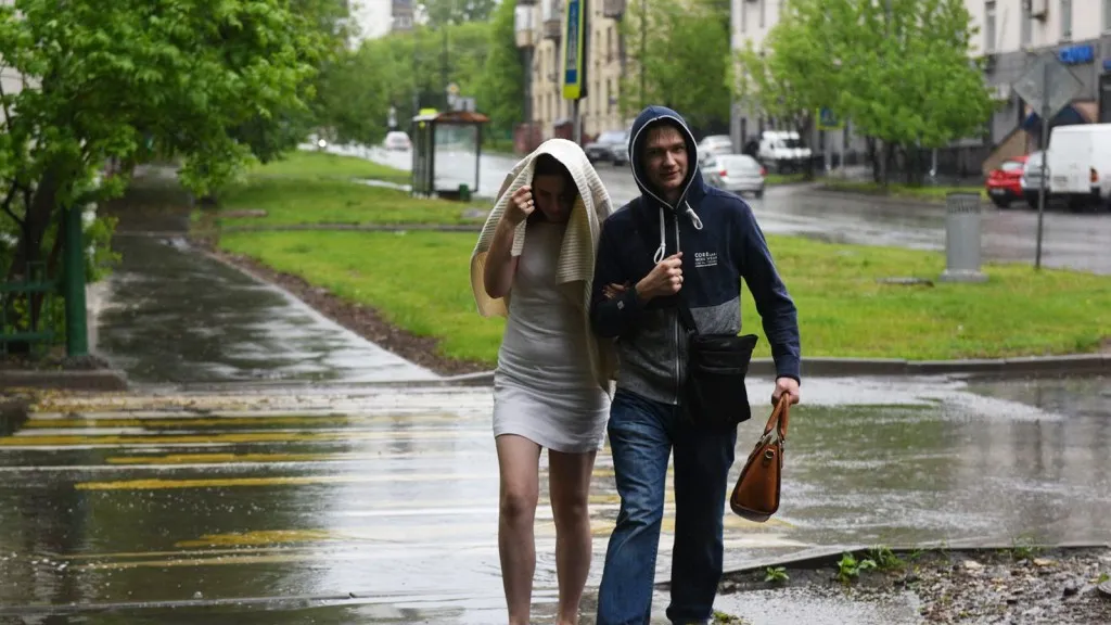 Фото: медиасток.рф