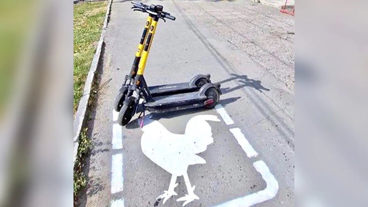 Фото: t.me/newgrad_pavlino