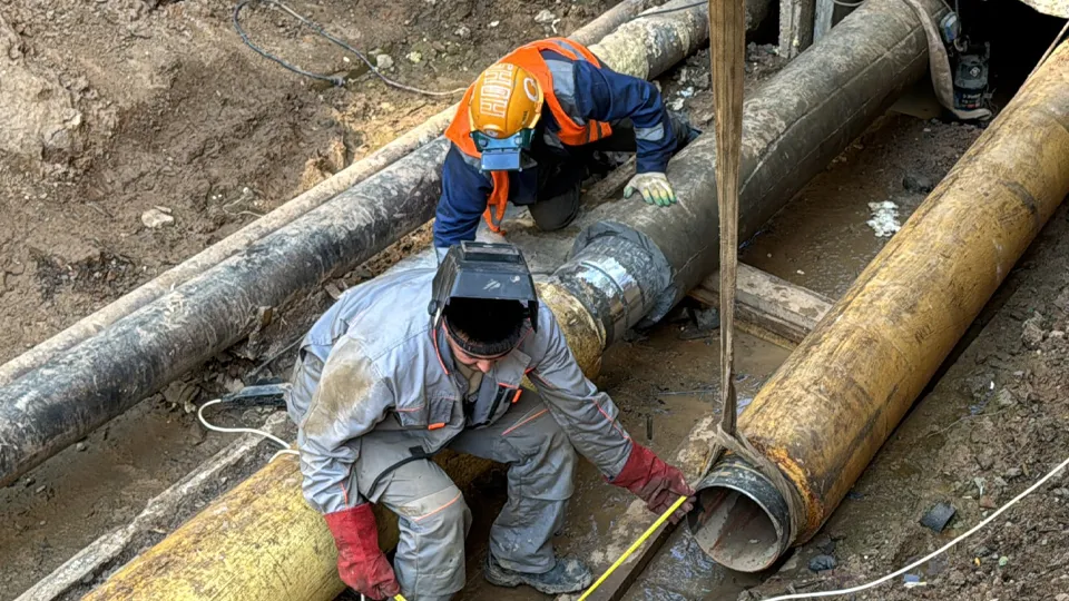 Фото: REGIONS/Мария Шматкова